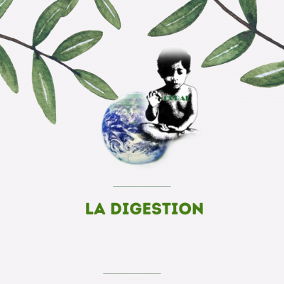 04 la digestion