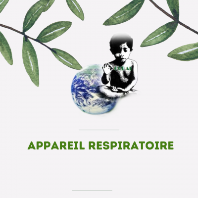 08 appareil respiratoire