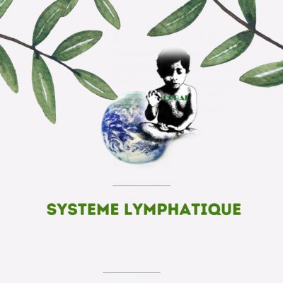 14 systeme lymphatique