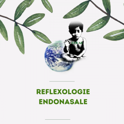 29 reflexologie endonasale