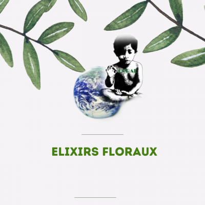 42 elixirs floraux