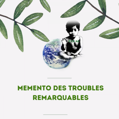 49 memento des troubles remarquqbles