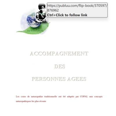 Accompagnement pers agees 