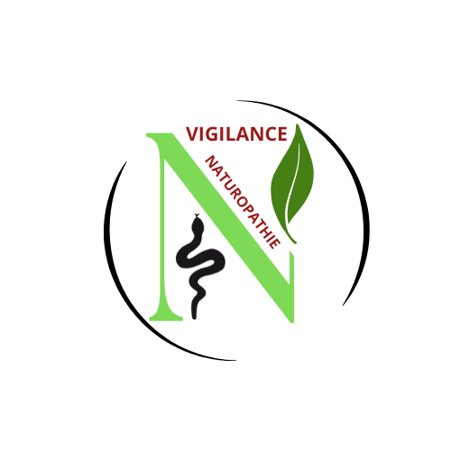 Logo vigilance 1