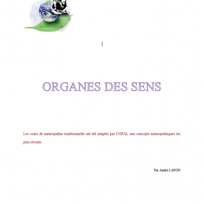 Organes des sens